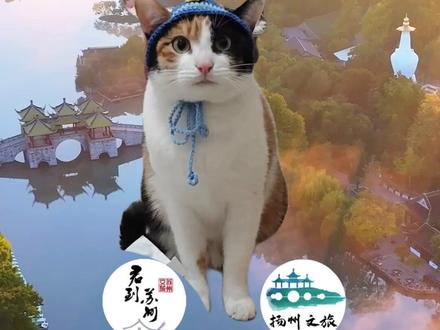 萝卜纸巾猫咪闯入扬州诗词赛道,真棒! (猫咪素材: @超级无敌大开门 ) #扬州文旅 #旅行推荐官 #各地文旅加入萝卜纸巾猫咪挑战 #萝卜纸巾猫咪逐渐抽象 #萝卜纸巾猫咪