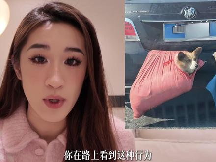 宠物和后车人的命就不是命了么? #春运 #宠物 #狗狗 #道路安全 #规范行车