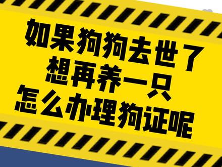 #社区#关于郑州市社区居民养狗办证的那些事儿#网友问题解答 如果狗狗去世了,想在养一只怎么办理狗证?