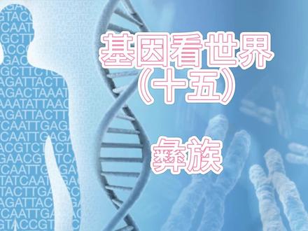 彝族你了解多少?#汉族#彝族#古羌族#基因