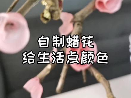 抖音学的蜡花,让我的艺术天分又一次释放#记录真实生活 #创意手工 @DOU+小助手 @抖音小助手