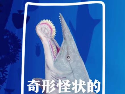 奇形怪状的古生物系列之旋齿鲨:旋齿鲨长什么样?旋齿是什么?长在什么地方?旋齿鲨怎么吃菊石?
#旋齿鲨 #奇妙知识在抖音 #萌知计划 #涨知识 #科普