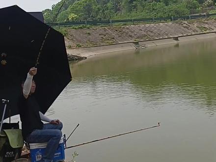 枯法师7代建议子线小于06,太粘鱼了,视频08主04子中了两条三至四斤左右的鲢鱼,把我累翻😡