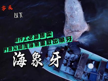 零度以下的生活:猎人齐普从一头搁浅海象上取走象牙制作物品售卖 #野外生存 #零度以下的生活