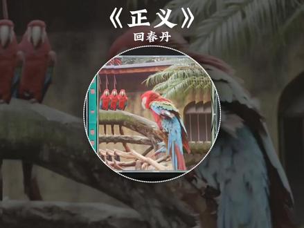 正义-回春丹 #正义 #回春丹 #音乐 #每日推荐音乐 #每日一歌
