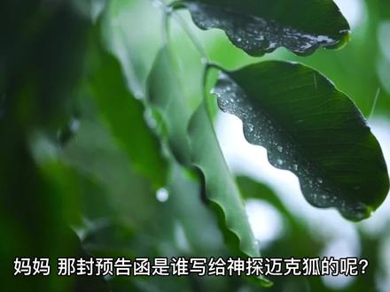 神探迈克狐系列探案故事