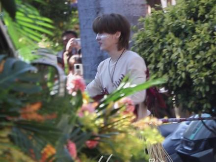 转圈圈跳草裙舞小鹿#鹿晗 #五哈 #西双版纳 #西盟