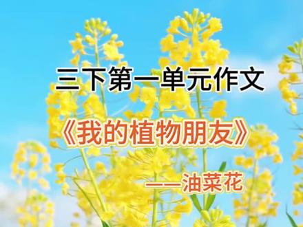 三下语文作文范文动画 三下语文语文 | 第一单元《我也植物朋友》范文,让文字更生动的动画#家长收藏孩子受益 #小学语文 #作文 #三年级语文下册 #作文范文