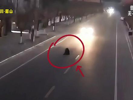 老人惨遭车辆撞击,导致当场身亡 #交通事故 #惊险一幕 #车祸瞬间