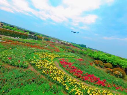 五一假期卧龙区游玩小攻略,请查收! #南阳 #卧龙文旅 #新视界新南阳 #月季