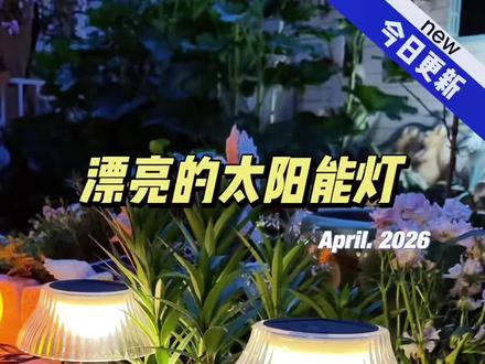 哇,这款太阳能灯也太漂亮了吧! 还可以随意调节照明方向,既能插地还能当小台灯,漂亮又实用。#太阳能灯 #太阳能庭院灯 #氛围灯 #户外照明
