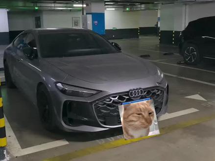 简评上汽奥迪A5L #说车 #说车聊车 #奥迪 #上汽奥迪 #奥迪A5L