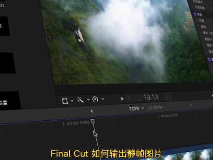 无损导出静帧图片#fcpx教程