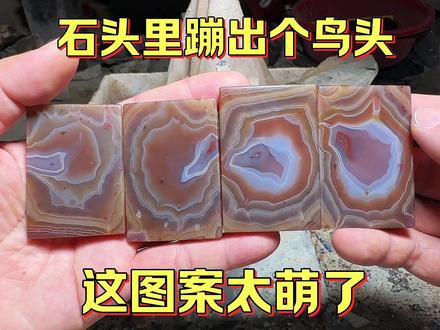 网友发来一个玛瑙蛋,切开里面出现个鸟头,捡石头赚大钱 #手工匠人 #玉石加工 #玛瑙 #收藏品