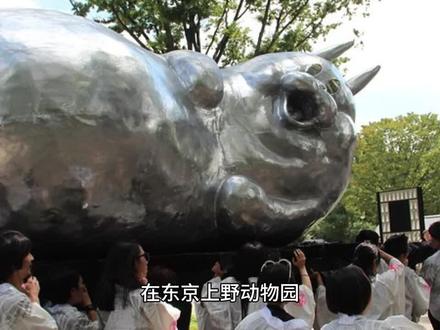 旅日大熊猫晓晓蕾蕾将回国