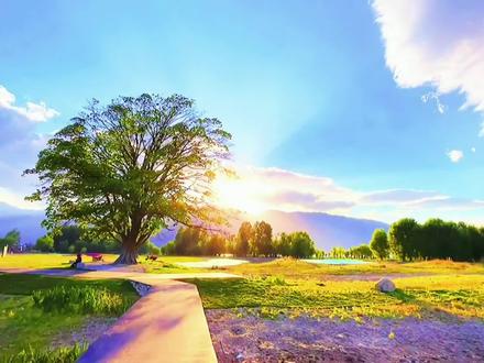 把抖音的音乐导入剪映的4种方法 剪映导入抖音好听的歌曲 #剪映导入音乐 #从抖音导入音乐