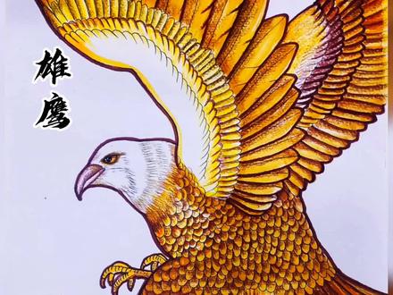 雄鹰展翅,愿您新的一年大展宏图#画画 #儿童美术 @抖音小助手