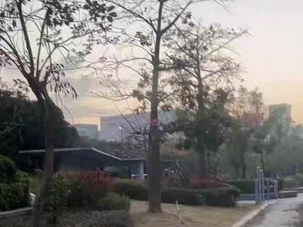 真养到疯狂动物城宝伯特了 #萌宠出道计划 #猫咪 #疯狂动物城 #宝伯特