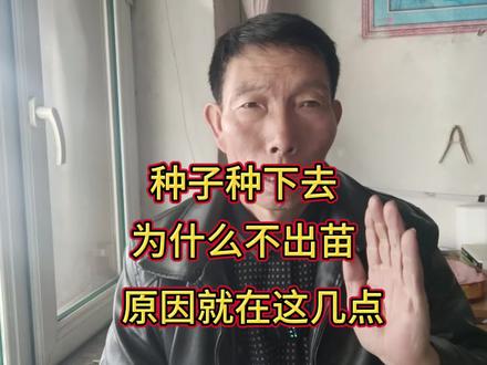 种子种下去,为什么不出苗或出苗不齐?问题就在这几点