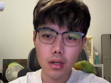 鹦鹉建议你这么养 #鹦鹉 #新手养鸟 #养鹦鹉 #新手养鹦鹉