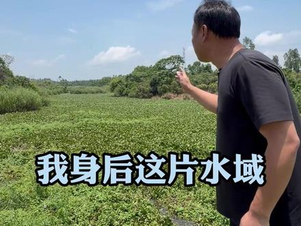 开启百亩河道“外来入侵物种”清道夫老巢治理行动#户外 #农村生活 #我要上热门 #新农人计划2026