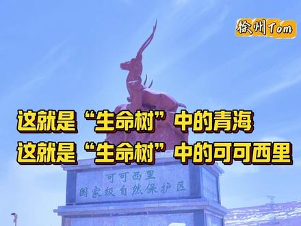看!这就是“生命树”守护下的青海“可可西里”! #青海美好推荐官 #生命树 #时常被生命树感动 #可可西里 #无人区