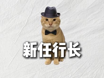 什么是金银涨跌?#科普 #猫meme #动画 #经济学 #黄金白银