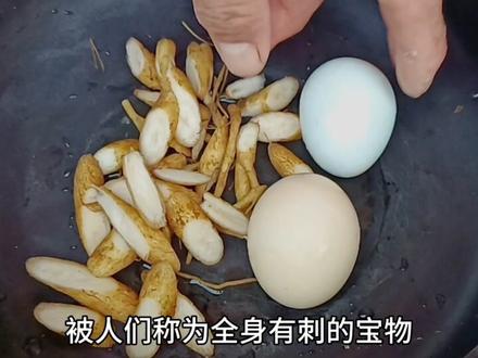 农村的大蓟叶子上有刺,煮鸡蛋确实是稀罕物,邻居小媳妇煮有诀窍 #大蓟根