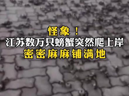 “20年来从未见过!”上万只#螃蟹 突然结群爬上岸!是灾难前兆?#专家 回应 #动静大挑战 #一碰就来电