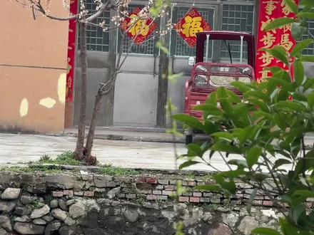 小奶狗:想吃鸭屁屁的跟上来吧!