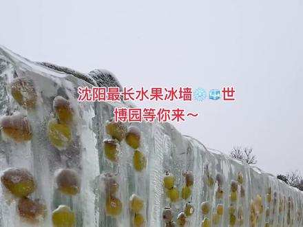 沈阳世博园最长水果冰墙🧊❄️#你的城市下雪了吗 #喜欢下雪的感觉 #春节去哪玩 #沈阳旅游攻略 #王大美的退休生活 @沈阳植物园(沈阳世博园)