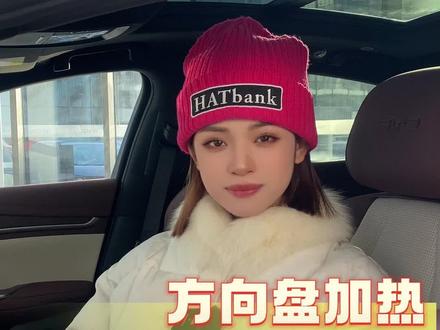 你还不会打开方向盘加热嘛?这么冷的天你确定不需要一个这么好用的功能吗?#百万海洋感恩有礼 #比亚迪 #用车小知识 #海豹DMI