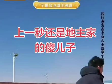 这家伙干啥像啥#董宇辉宁夏盐池