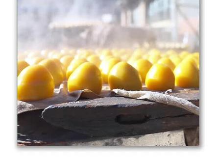 在这片黑土地,我永远都被唤作孩儿,我可以永远也长不大(音频来源:@东北故里 )#辽宁文旅 #沐春寻芳悠游辽宁 #2025辽宁春季旅游推介