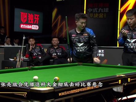 这绝对是赵汝亮与张堃鹏昨晚打出的最硬核大金 #赵汝亮 #张堃鹏 #台球是一种生活 #九球#抖音电脑版