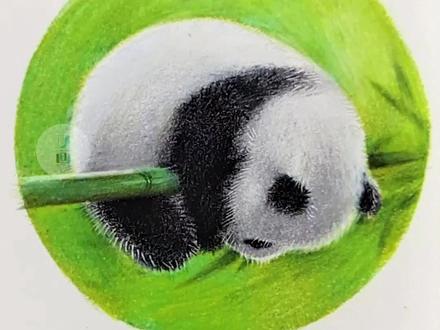 【彩铅熊猫】今日份可爱熊猫
教大家怎么画熊猫团子啦~
#一起学画画 #彩铅 #彩铅手绘 #彩铅教程 #彩铅熊猫