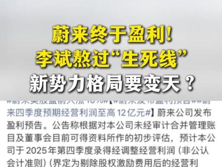 蔚来终于盈利!李斌熬过“生死线”! #蔚来 #李斌 #商业 #商业思维 #企业