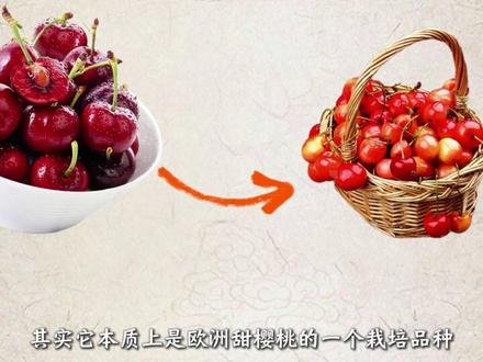 车厘子为啥会“凉凉”?是价格崩了?还是品质差了卖不动了? #车厘子 #美食 #科普 #抖音精选 #抖音年味争霸赛
