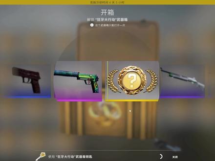 #csgo #csgo开箱 新箱子随便开开,就很随意