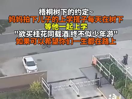 慕了!梧桐树下的约定 #友谊#上学#朋友