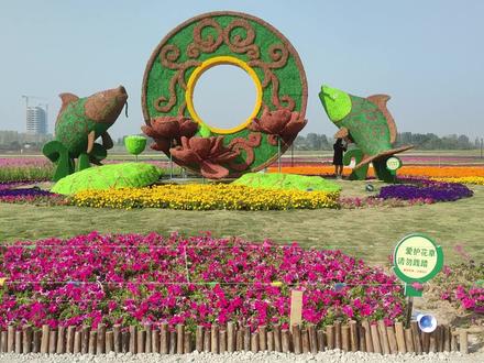 预测枣庄2024十件大事,你觉得我能预测对几个?#枣庄 #薛城 #同城热点