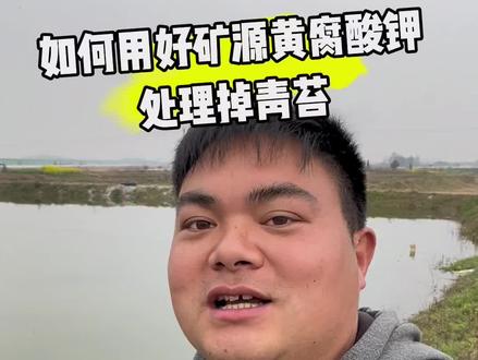 矿源黄腐酸钾就是买着贵用着便宜那种,用顺手了将会是你养殖路上的好帮手#矿源黄腐酸钾 #小龙虾 #青苔处理