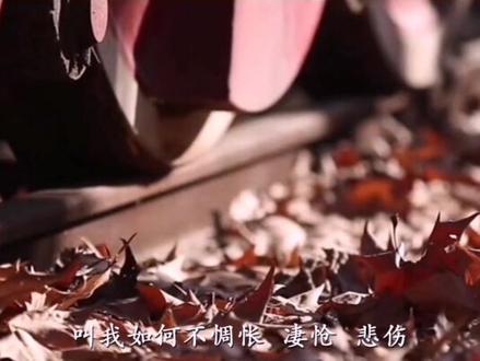 第25集 《我曾》冰心#诗歌 #诗词 #现代诗 #诗歌朗诵 #诗歌鉴赏 #读书 #人生感悟 ##人生#朗诵