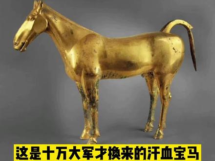 十万大军换来的汗血宝马#历史故事 #涨知识 #文化 #历史 #考古