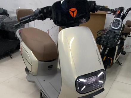 #雅迪M33 小电摩 小巧又精致 动力强劲