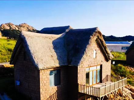 为啥草房能做到百年不腐 #科普 #独特的房子 #海草房