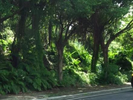 #奥迪 车载警示牌(三脚架使用)