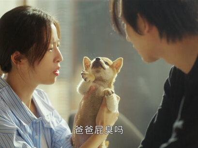 男友放屁太臭怎么办?#李宏毅 #周雨彤 #放屁 #最酷的世界