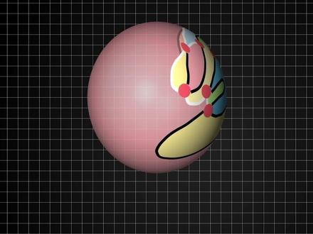 300年前的升维探索--欧拉公式