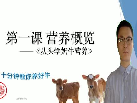 《从头学奶牛营养》之第一课营养概览